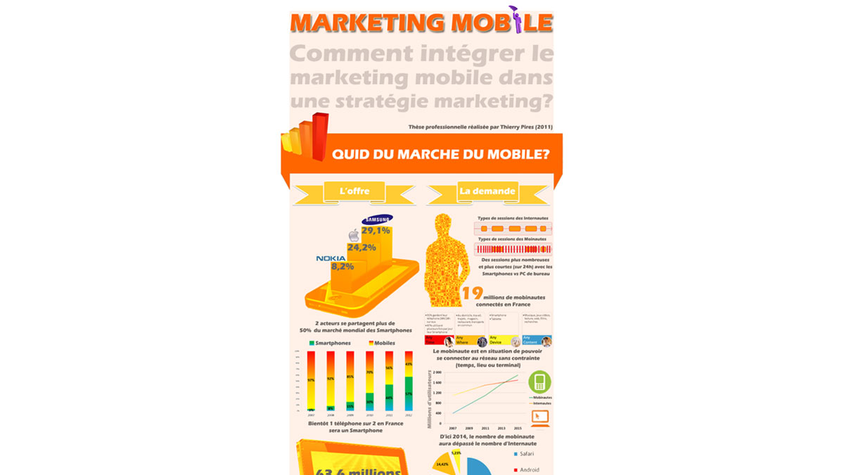 Thèse professionnelle